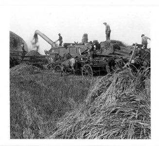 Taking Pride in Farm Work Image
